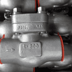 Forged Check Valve