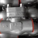 Forged Check Valve