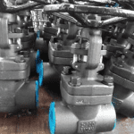 Forged Globe Valve